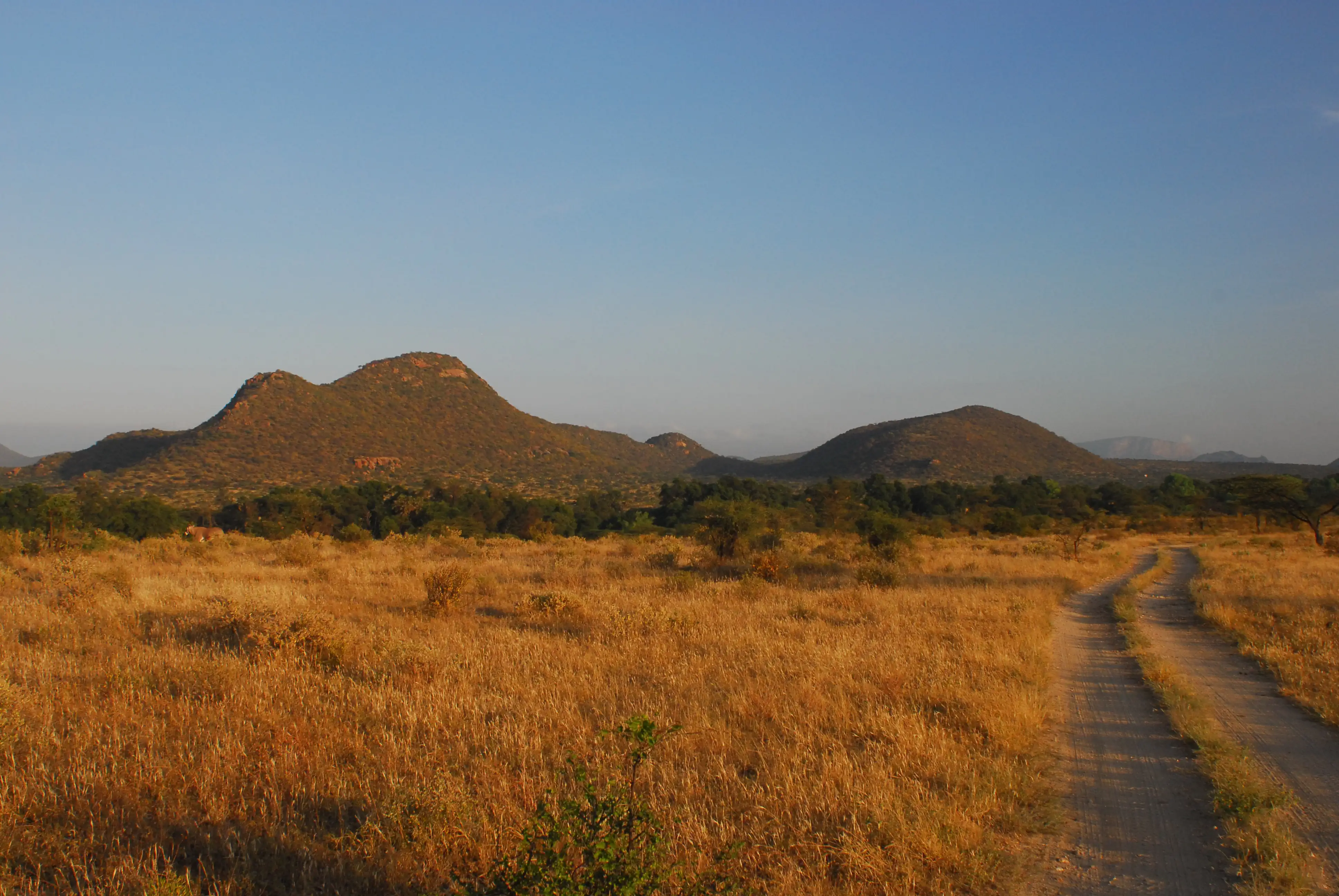 Samburu highlight 3